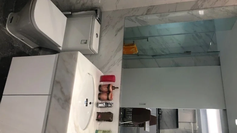 Artistic Hibiscus - View 6