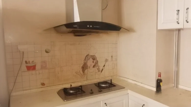 Phoenix Water City Hongshu Bay - View 3