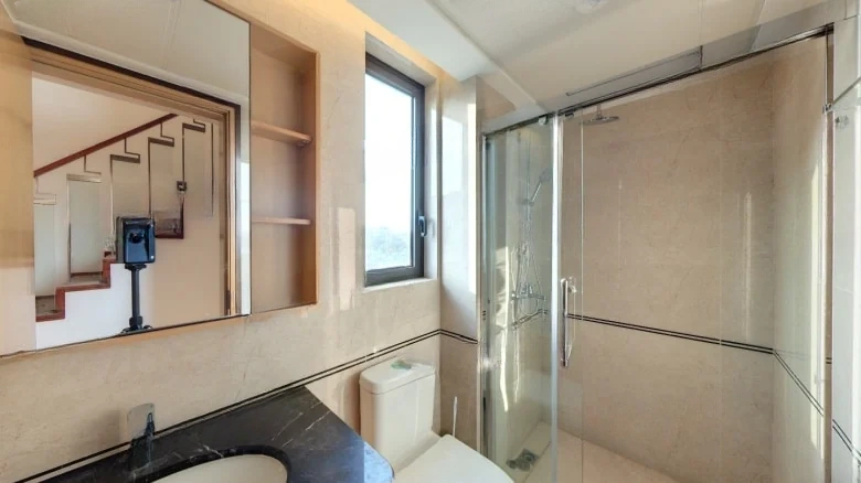 Jianfa Central Seal - View 7