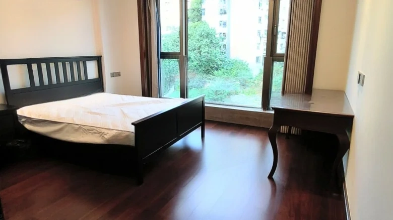 Dongyuan 1891 Impression Yangtze River - View 3