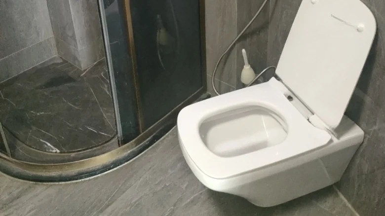 Shimao Pullman - View 6