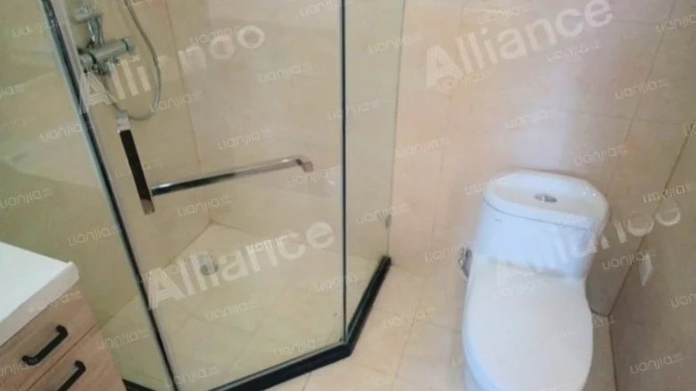 Shimao New Wulihe - View 5