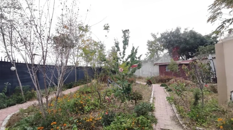 Jadeite Manor - View 21