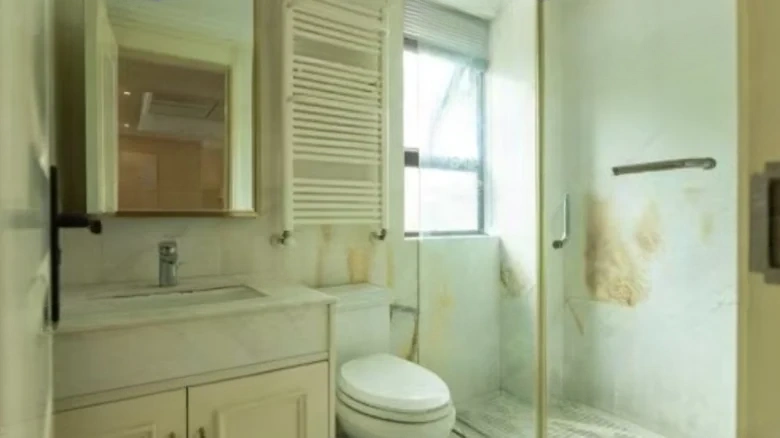 Poly Development Group Lake View - View 9