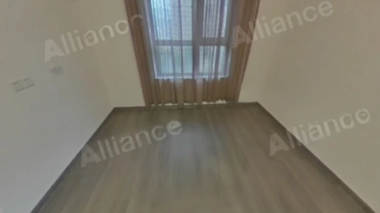 Dahua Longyue - View 3