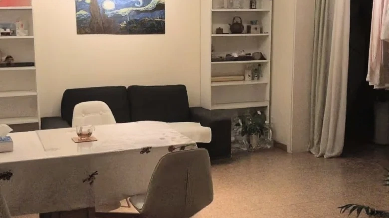 Shanlin Crescent Ring Lin East Road 875 Lane - View 2