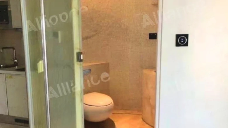 Phoenix Island - View 4