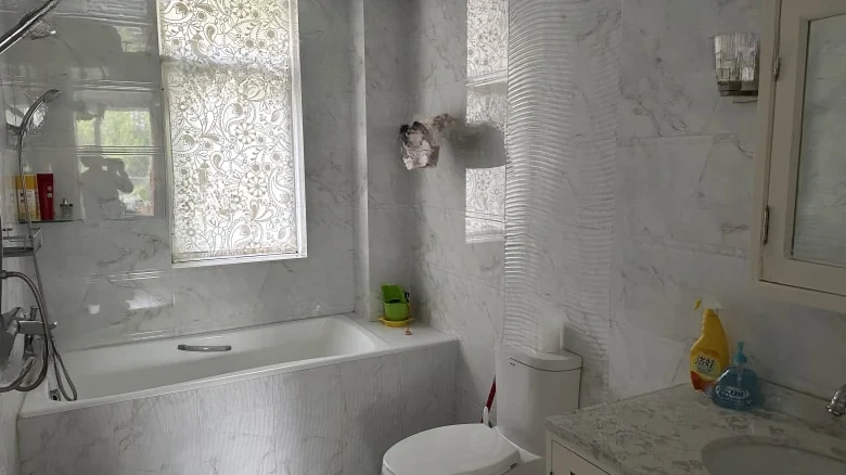 China Ocean Purple Imperial View Residences Phase I - View 7