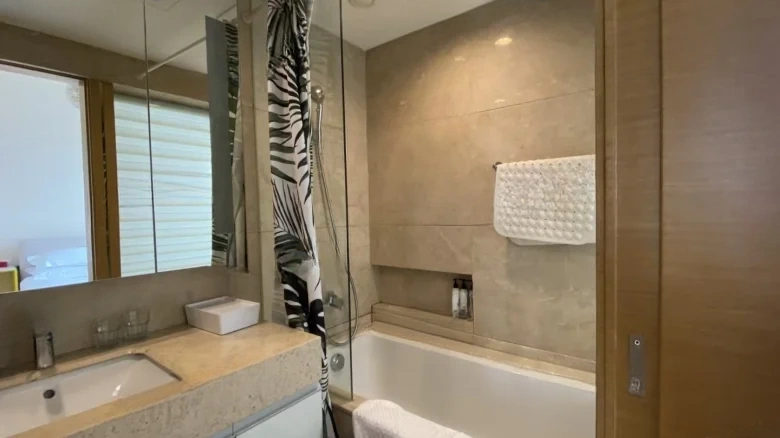 Iron Lion Gate Crystal Fusion Hub - View 6