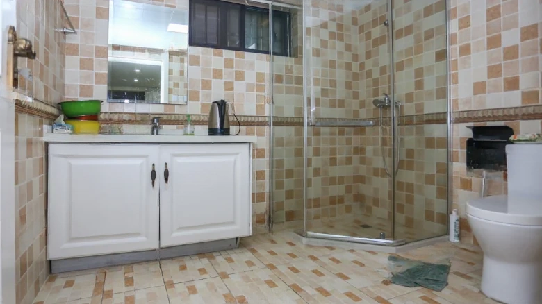 House of Lords - View 11