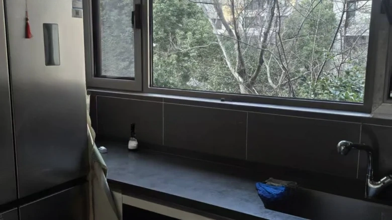 China Mansion - View 4