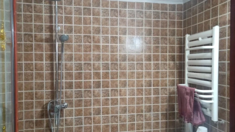 Zhicheng Maple Leaf International - View 9