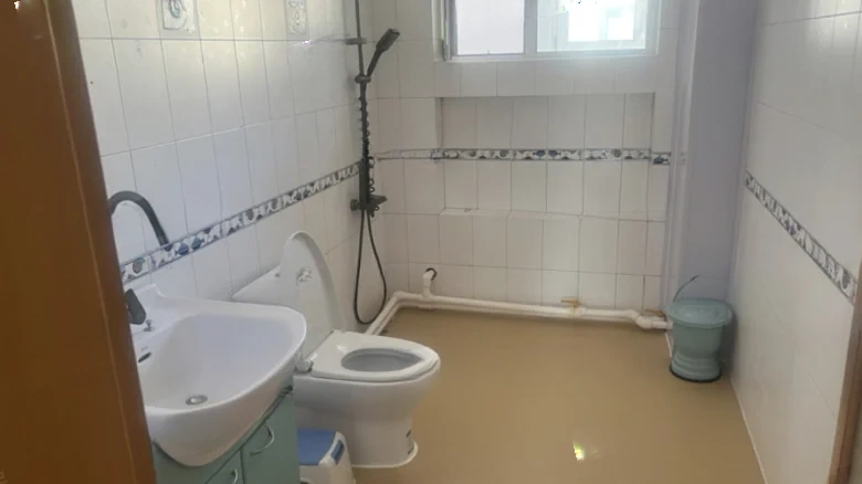 Changchun Pearl明珠 can be directly translated as part of the location and description, but since - View 8