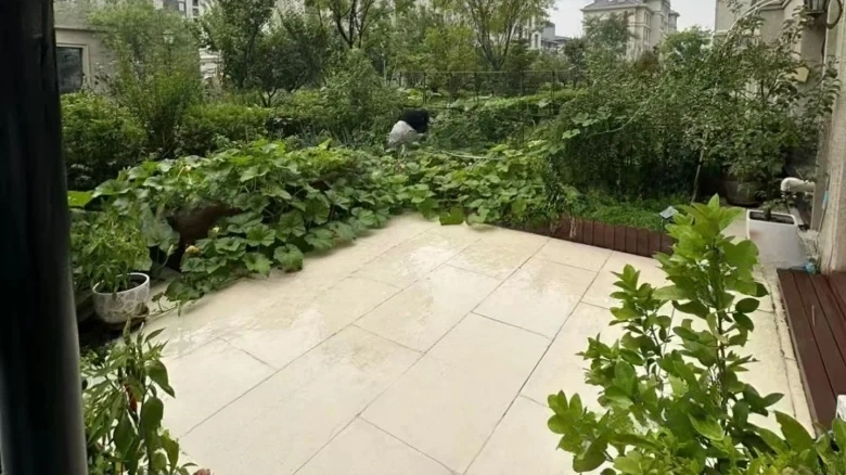 Green City Fragrant Courtyard - View 12