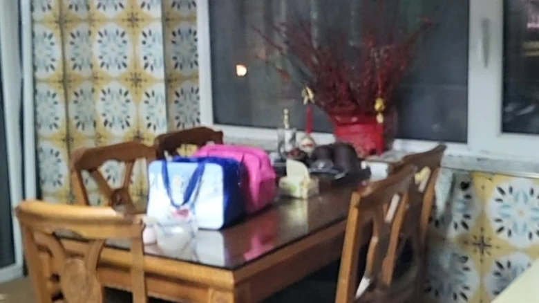 JinDi Artistic Vision - View 7