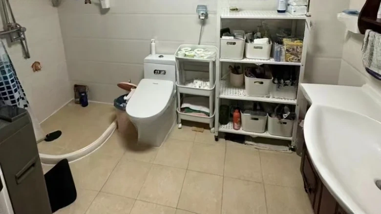 New Universe Prosperity Garden - View 7