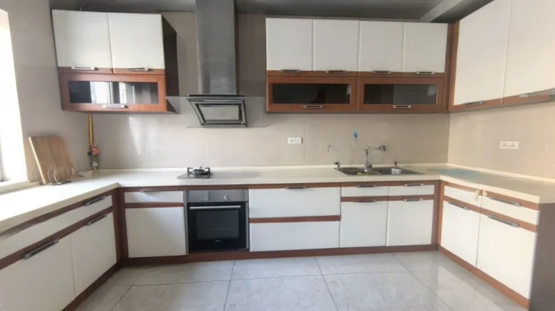 Poly Forest Language Zone B - View 8