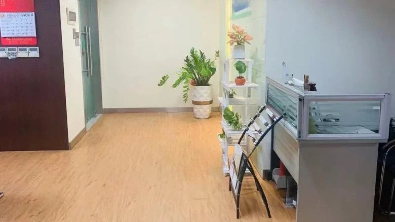 Silver Lion Plaza - View 5