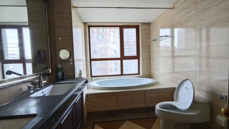 Vanke City Phase II - View 8