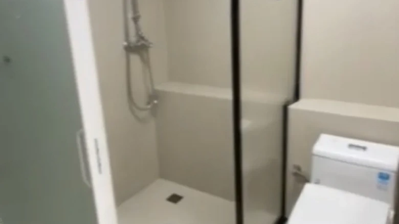 Cloud Seal · Joy Seal - View 4