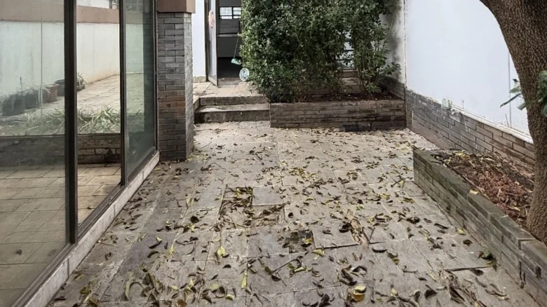 Fragrant Water and Wind - View 20