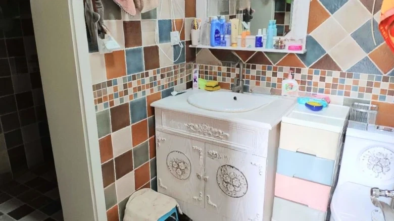 Vanke Whistler Township - View 11