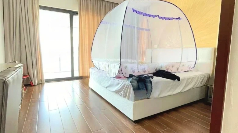 Fudi Lushan - View 4