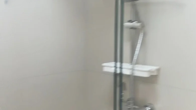 Cloud Seal · Joy Seal - View 5