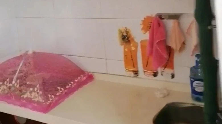 Phoenix Water City Red Tree Bay - View 4