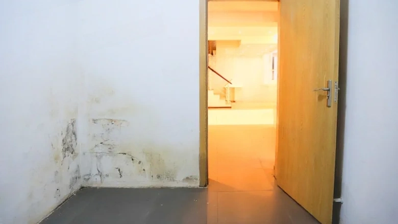 Dianchi Impression Garden - View 2