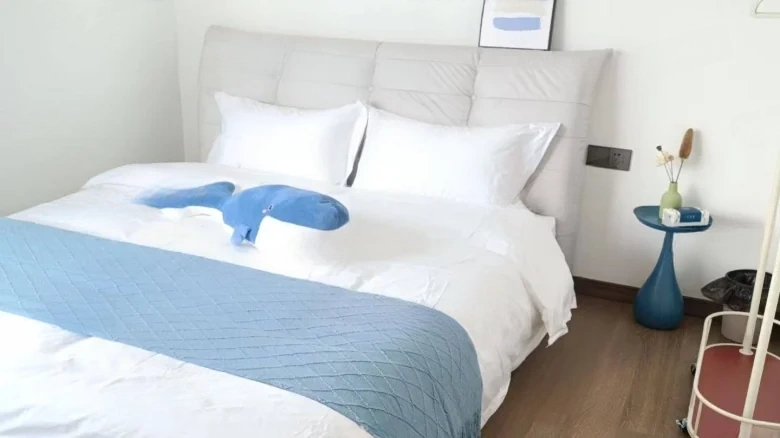 Vanke 500 Li - View 3