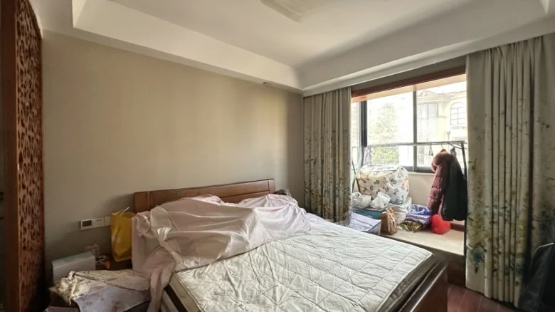 Peninsula Mansion - View 4