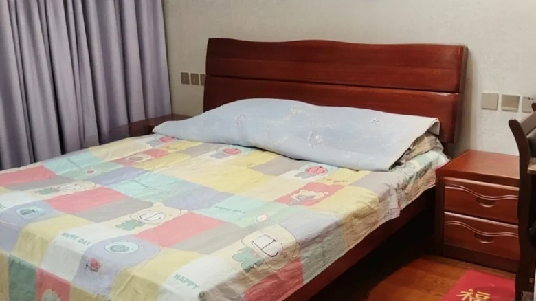 Shangjing New World - View 2