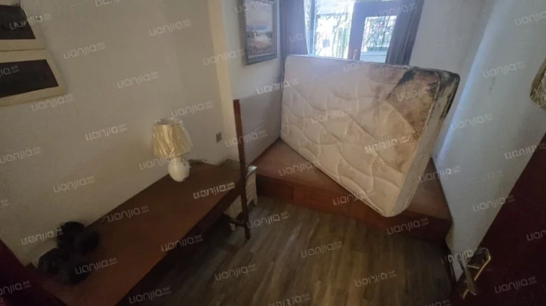 Forest Lake - View 3