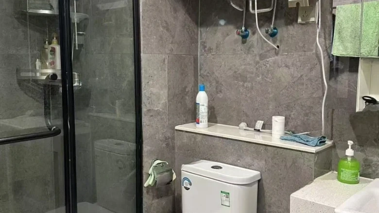 Huayuan Hu Times - View 5