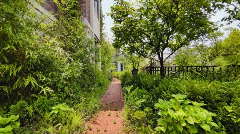 Vanke Hongjun - View 24