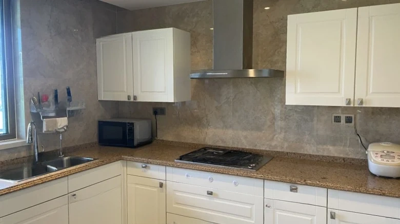 Fishing Carp Petal·Macao MGM - View 15