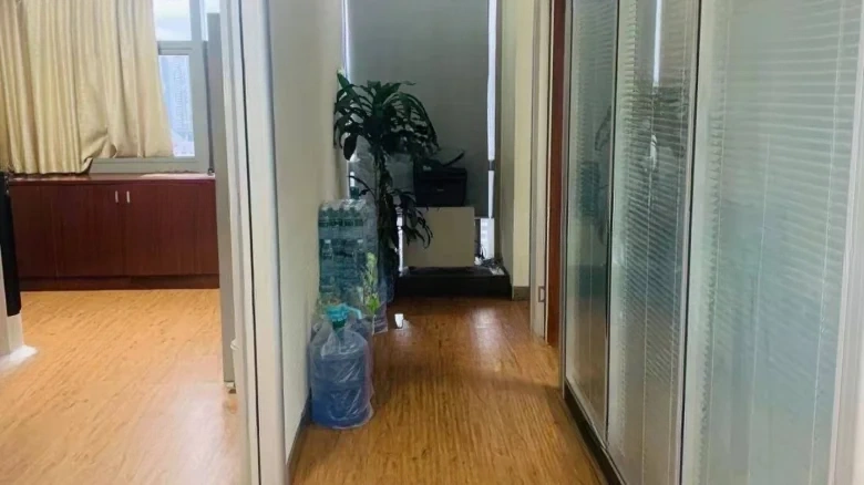 Silver Lion Plaza - View 7