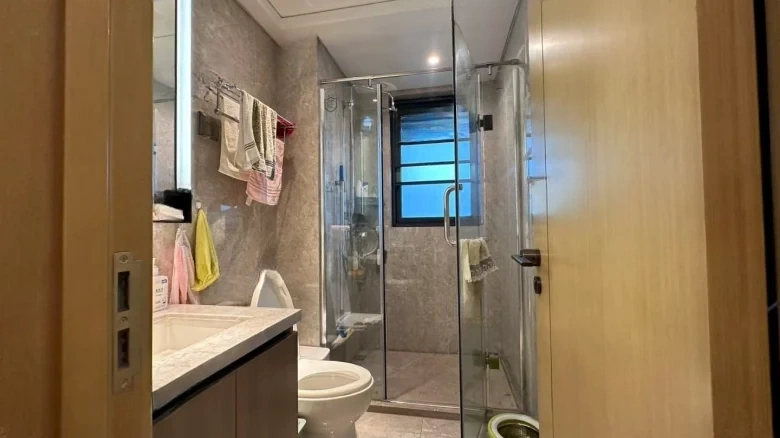 Wuyue Plaza Lan Yue Mansion - View 8