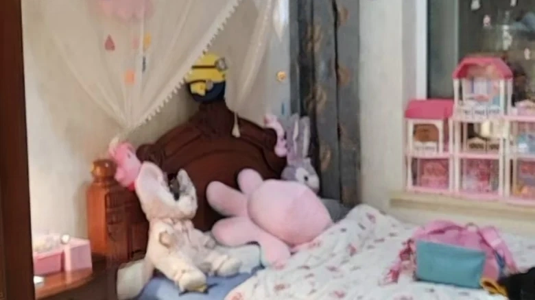 JinDi Artistic Vision - View 3