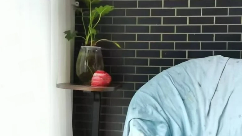 SOHO Junyuan - View 4