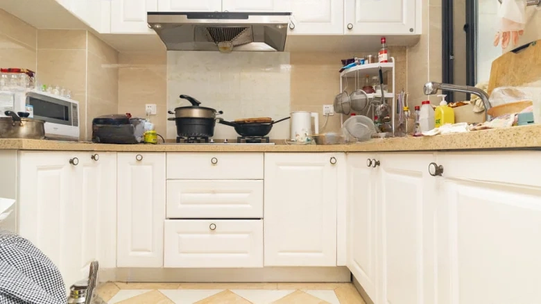 Poly Pearl Residences - View 6