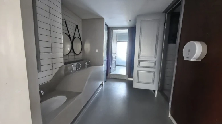 Camphor Tree Alanthus - View 6