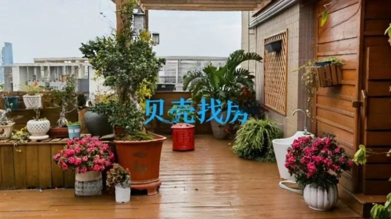 Dolphin Bay - View 12