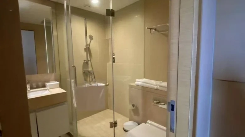 Iron Lion Gate Crystal Fusion Hub - View 5