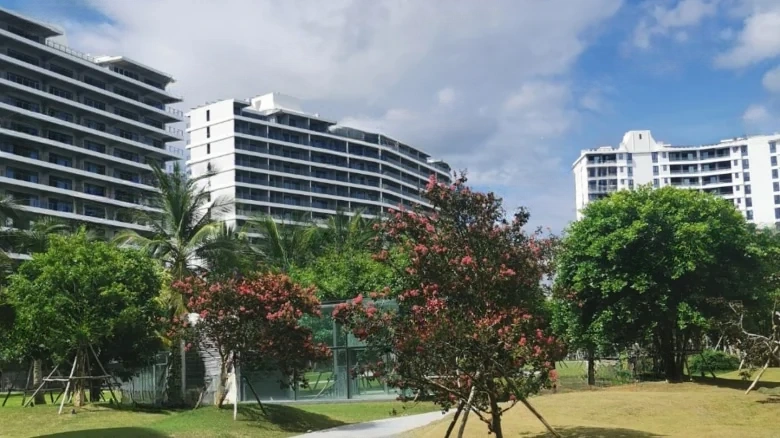 Art Hibiscus - View 14