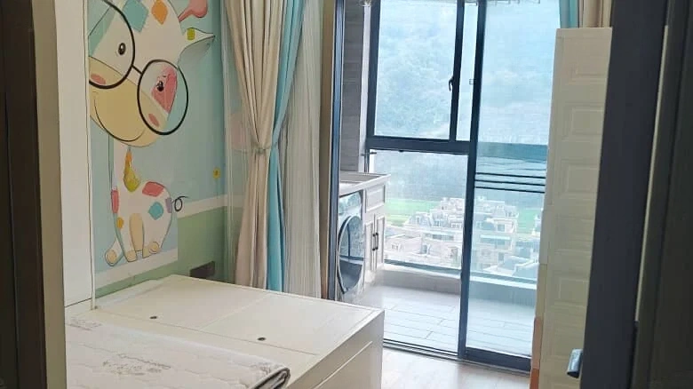 Zhengda City - View 3