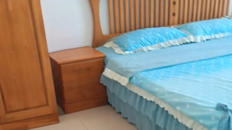 Changda New Millennium Garden - View 2