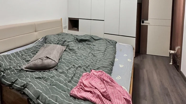 Luhu Jiayu Phase II - View 2