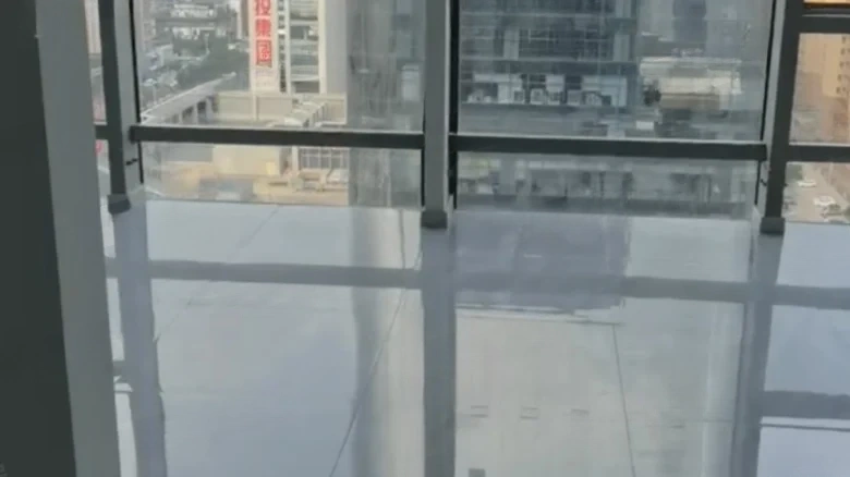 CRMSC Tianwan Cloud Seal - View 2